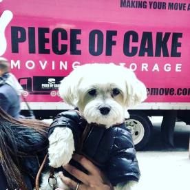 Happy customers and happy movers - Piece of Cake Moving & Storage New York