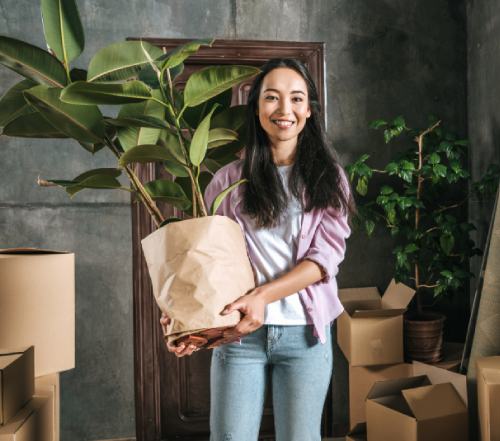 Moving with plants: How to pack and move your plants safely
