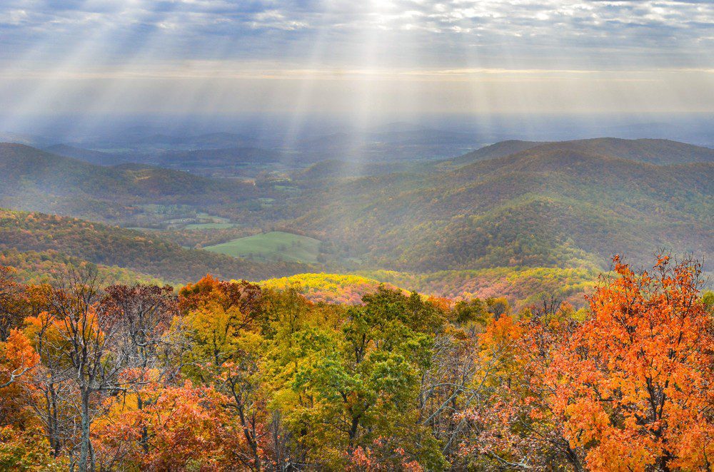 Shenandoah,National,Park,In,Autumn,Foliage,-,Virginia,,United,States
