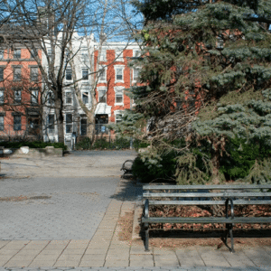 piece-of-cake-moving-east-village piece-of-cake-moving-east-village